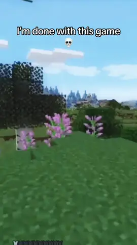 Bro doesn’t want to fight 💀 #minecraftmemes #Minecraft 