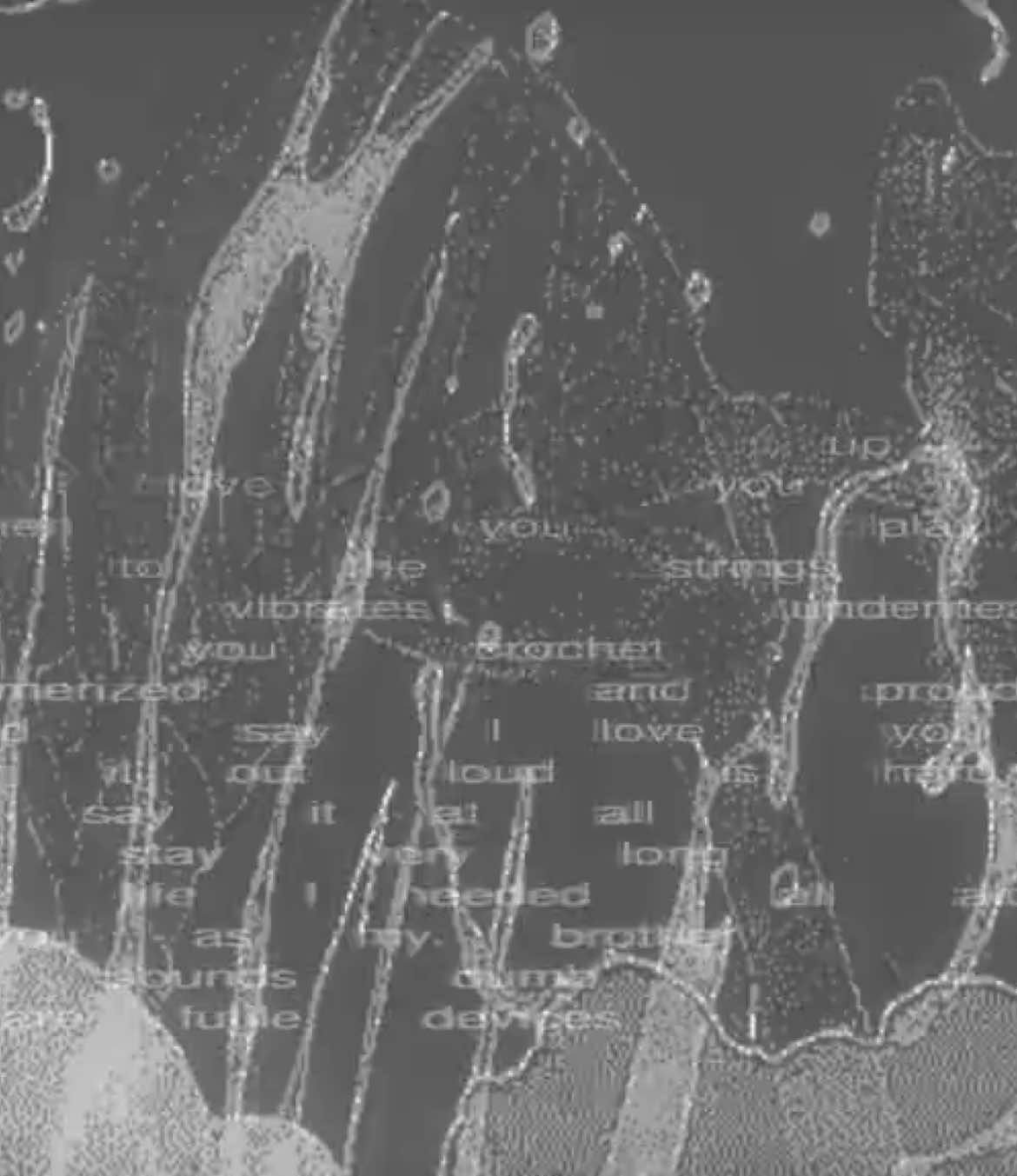 the seats are empty. the theater is dark. Why do you keep acting? @IRONCLUB™ | code MHG #gym #supportundergroundlifting #bodybuilding #gymbro #gymedit #gymmotivation #gymcore 
