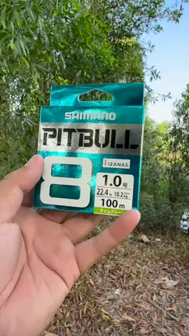 ✅