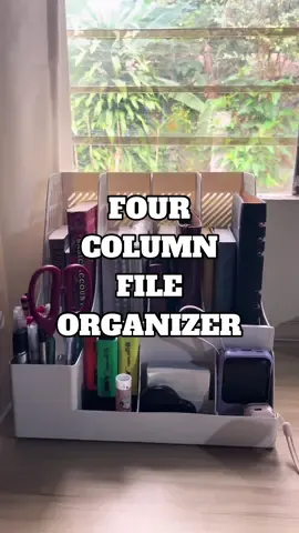 Organize.#organizer #fourcolumnfileorganizer #documentsorganizer #StatX #fileorganizer #stationery 