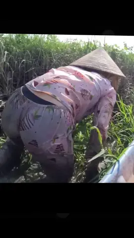 Beautiful girl catching fish