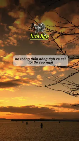 “ Tuổi Ngọ, các bạn có nhận ra chính mình trong những tính cách này ?”##tuoingo##canhngo1990##maungo1978##nhamngo##binhngo##giapngo##viral##video##xuhuong##viralvideoo
