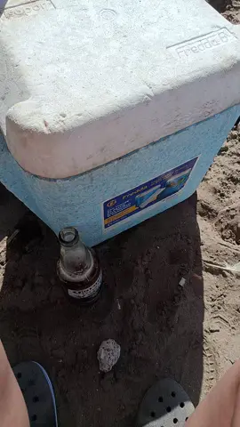 cerveza y mar del plata 😎