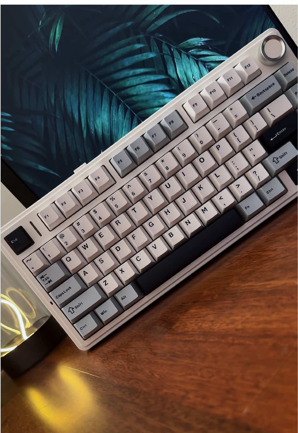 O Aula F75 é um teclado que SEMPRE vou recomendar! Um absurdo pro valor! Cupom AYVHHE @aula.gear  #TechTokBrasil #gamer #gaming #technology #pc #pcgamer #setupgaming #setupgamer #GamingOnTikTok #setup #GamingSetup #keyboard 
