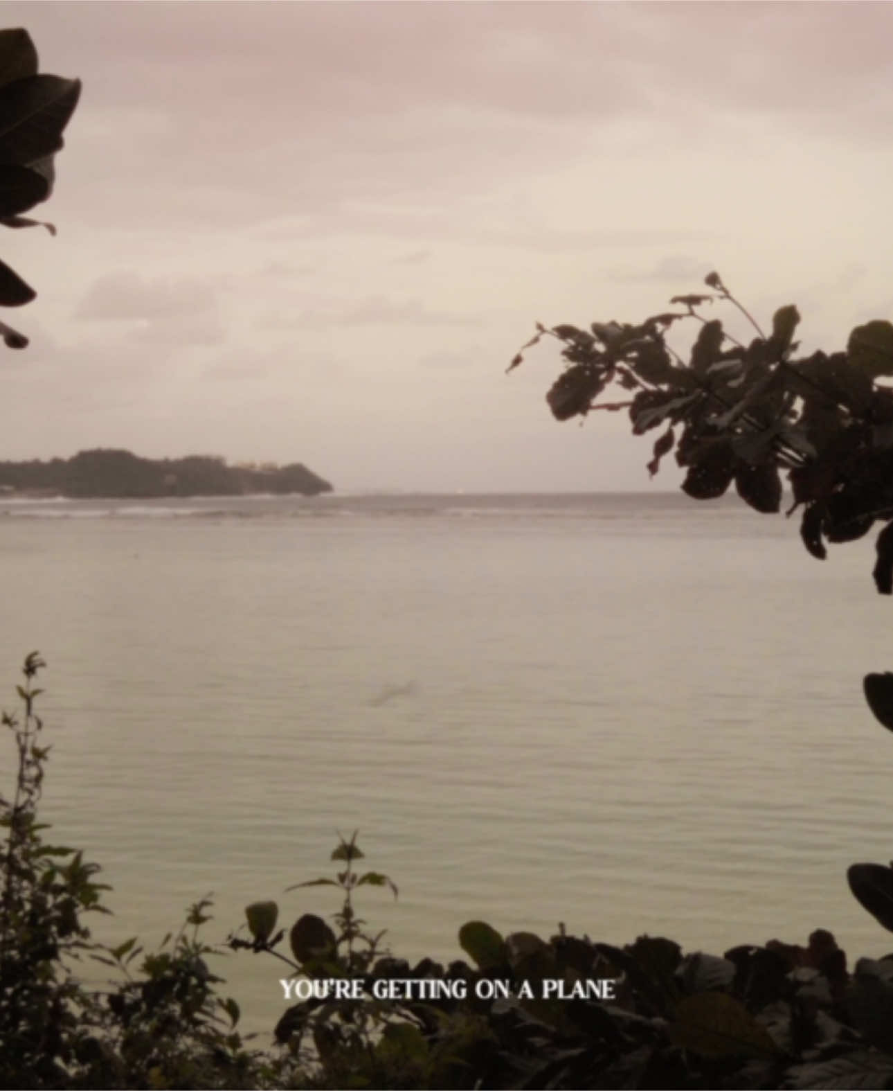 i wonder what you feel about me #fyp #filmmaking #filmmakingtips #cinematography #fypシ #cinematic #hopecore #nature 