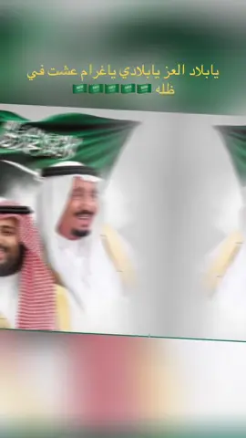 #يابلاد العز يابلادي #السعوديه🇸🇦💚 