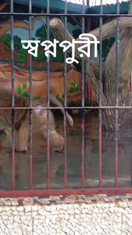 দিনাজপুর স্বপ্নপুরী ভিডিও 