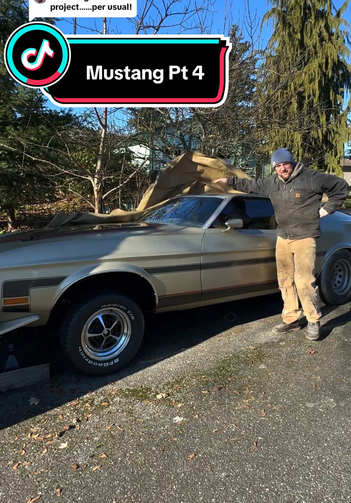 Replying to @Richard Hinchliffe The Mustang is safe under the cover finally. #mustang #1971mustang #ford #car