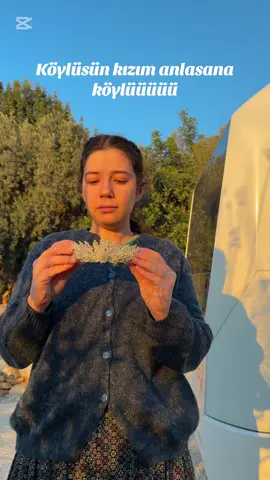 #mika #akımvideoları #akım #viralvideos 