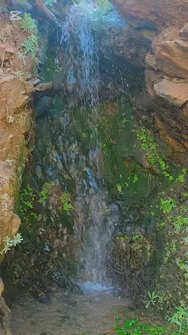 يان المتضر ايفولكين اللهم بارك  #fyp #imazighen #follower #tranding #اكادير_تيزنيت_تافروت_إمازيغن #agadir_morocco #fouryou #تارودانت_اولوز_تالوين 