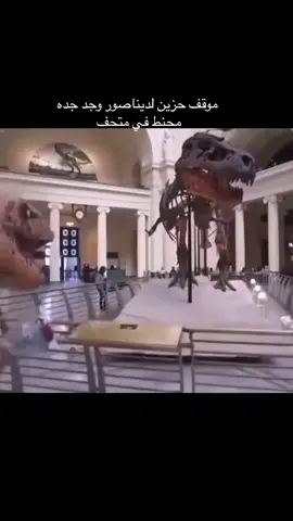 موقف مؤلم 😔
