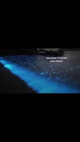 #рекомендации #fyyyyyyppppppppp #sea #night #vibe #recommendations #fyp #врек #