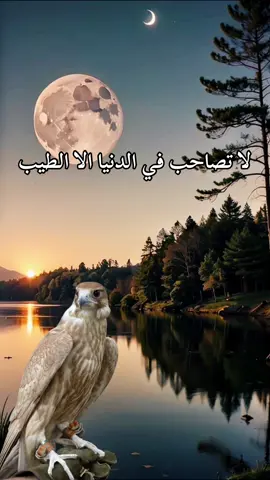 #أكسبلور_شعر_حكم_خواطر  