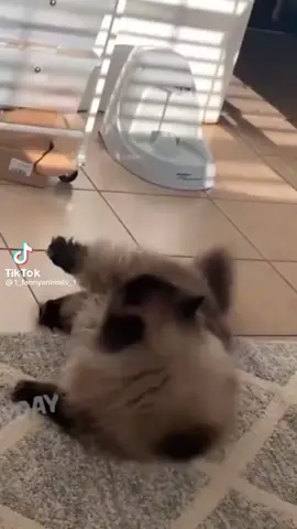 #ВэтотДень 