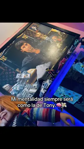 Cashaa en mi vida🙌🏻🌎#exitoalquenoesenvidioso#elmundoesmio#metalidad#money#tonymontana 