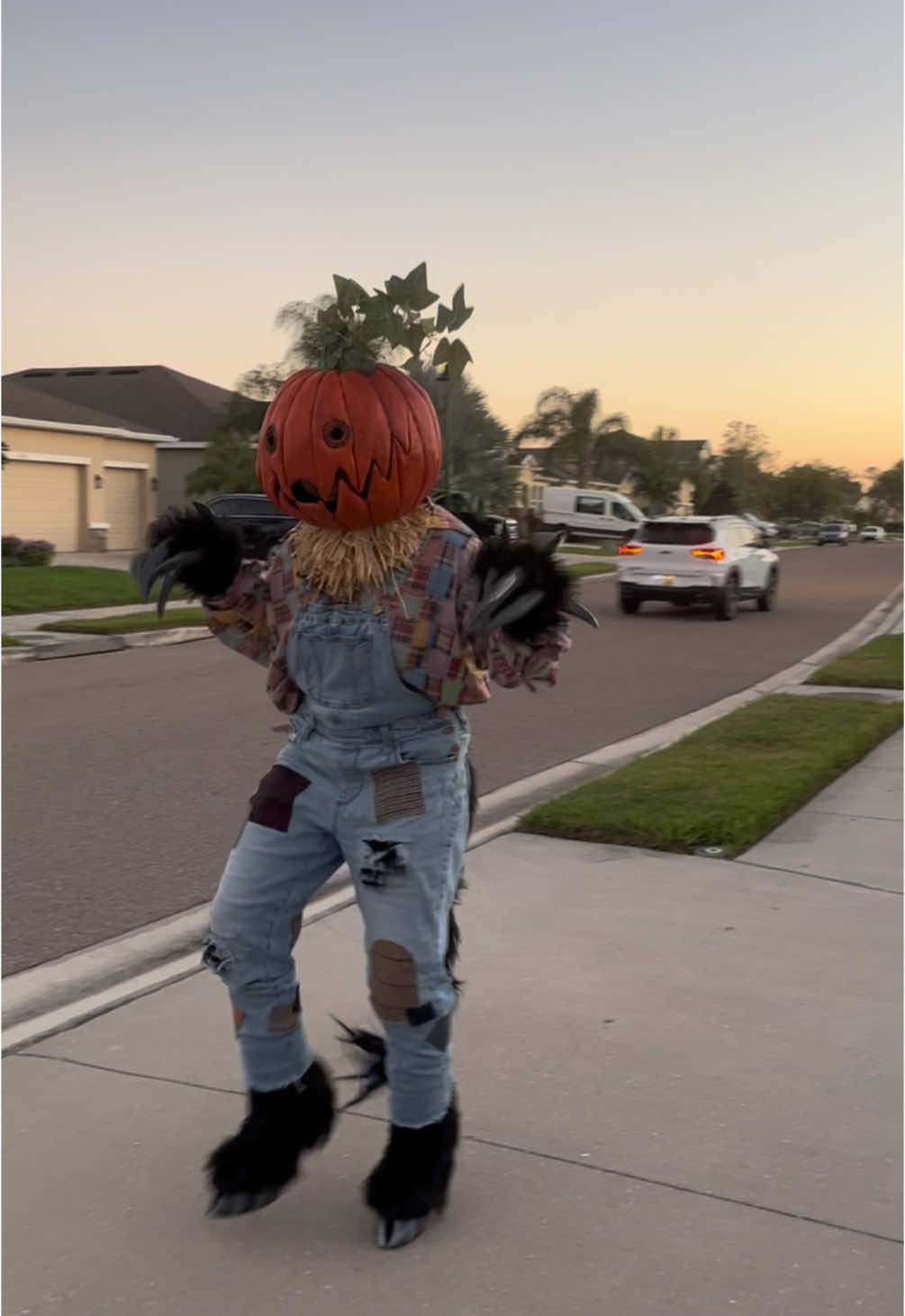 He’s a fairy if you squint hard enough xD  #pumpkinheads #costume #fursuit #fursuiter #fursuitmaker #furry #creature #scarecrow #monster #furryfandom #furrytiktok 