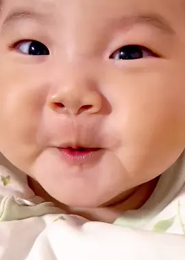 😗#babybear #beyeu 