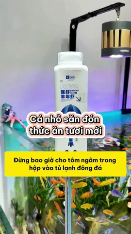 Cá của bạn sẽ yêu thích món ăn tươi mới này #methuysinh #aquarium #fish #fyp