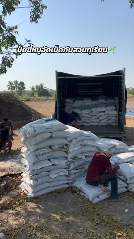 อยากได้ 10 ตัน แต่ส่งให้ได้แค่ 9 ตันก่อนนะคะ รอบนี้ลูกค้านำไปใช้กับสวนทุเรียน ขอบคุณที่อุดหนุนปุ๋ยขี้หมูจากฟาร์มของเราค่ะ #ปุ๋ยขี้หมู #ปุ๋ยอัดเม็ด #ปุ๋ยขี้หมูพิจิตร #ปุ๋ยขี้หมูอัดเม็ด #nkjourneyfarm 
