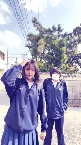 体感温度3℃#らしい ##fyp#北海道より沖縄の方が絶対寒い #おすすめ 