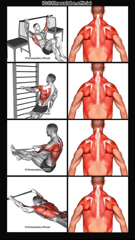✅ Back Workout at Home  ① Pull-up with Chairs  ② Standing One Arm Row  ③ Towel Row ④ Laying Lat Pulldown  3 sets 12-15 reps  #Fitness #gym #exercise  #workout #workoutroutine  #exercisetips  #fitnesstips  #bodybuilding  #backworkout  #backday  #workoutathome 