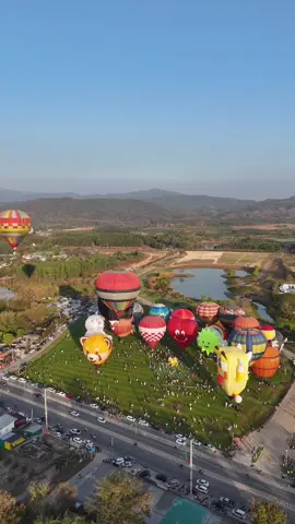 #เพลงรักทรีแมนดาว #เทศกาลบอลลูน #สิงห์ปาร์คเชียงราย #เทรนด์วันนี้ #14กุมภาวันวาเลนไทน์ #fyp 