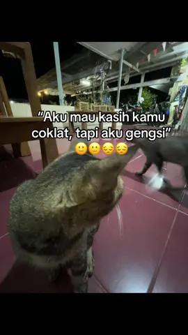 #fpyyyyyyyyyyyyyyyyyyyyyy #fpyyyyyyyyyyyyyyyyyyyyyy #katakata #hihiiiiiiiiiii #fyp #fotolive 