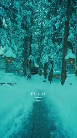 📍Eiheiji Temple -永平寺- Fukui, 福井 Beautiful places in Japan🇯🇵 #japan #japantravel #japantrip #anime #animejapan #japananime #japantourism #japantour #japangram #japan🇯🇵 #traveljapan #tripjapan #torii #toriigate #japanstyle #japanculture #traveljapan #tripjapan #japangram #fukui #福井