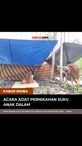 acara adat suku anak dalam menikah #muarakilis #tebo 