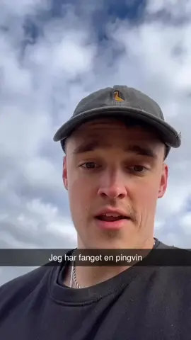 #pinguino #fyp #viral #rap #mikkel 