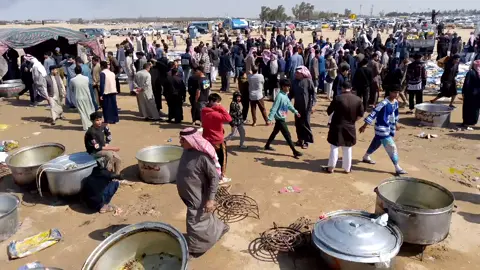 بصره الزبير الزبير اقوى عزيمه بالعراق 😂 350 طلي و50 بعير وعشره وعشره غزال