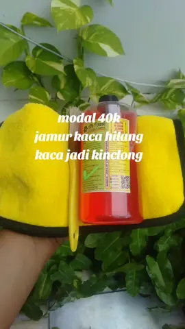 #mrpoank #mrpoankpembersihjamur #mrpoankpembersihjamurkaca 