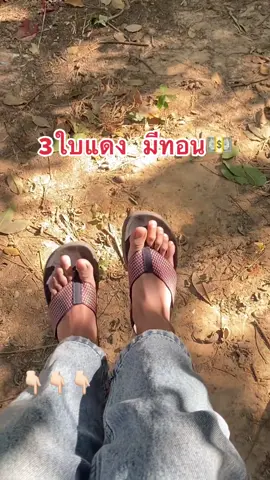 รองเท้าใส่สบาย ดูแพงมากกก😍#จัดเลยไหม #ใส่สบายสุดๆ 