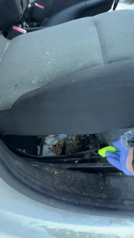 On a nettoyé une voiture remplie de Maïs 😱!! #CleanTok #clean #nettoyage #cardetailing #satisfying #carcleaning #asmr 