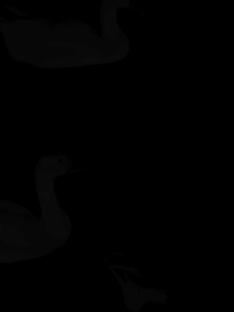 ـ أنا كِلي إلك. #tiktok #dancewithpubgm #fyp  #foryoupage #انا_گلبي_الك 