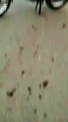 🥳#pleassupportme #growmyaccount✅ #viewsproblem #fypシ 