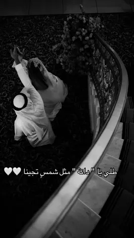 من اككثر الزفات طلباً 🩶  وشكرا للمصورة آلاء على هذا الفن 💫🤍  @Allo_wedding  #fyp #explore #اكسبلور #يوم_التأسيس #foryou #foryoupage #زفاف 