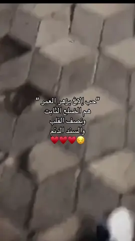 #slowsuave #هاخويه_ها_تگول_انه_عيناك #رحمه_رياض #الشعب_الصيني_ماله_حل😂😂 #الشعب_الصيني_ماله_حل #مالي_خلق_احط_هاشتاقات #اكسبلور 