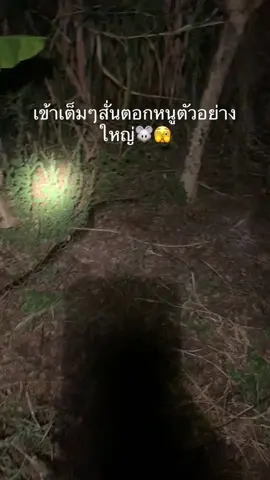 #สั่นตอกหนูเข้าตัวใหญ่มาก 