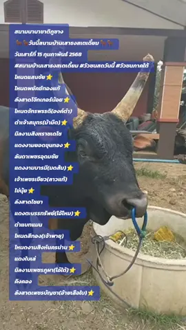 สนามนานาชาติภูซาง 🐂🐂วันนี้สนามบ้านเสาธงสเตเดี้ยม🐂🐂 วันเสาร์ที่ 15 กุมภาพันธ์ 2568 #สนามบ้านเสาธงสเตเดี้ยม #วัวชนสดวันนี้ #วัวชนภาคใต้ โหนดแสนชัย⭐ โหนดพยัคฆ์ทองแท้ ลังสาดโจ๊กเกอร์น้อย⭐ โหนดจักรพรรดิ(องค์ดำ) ดำเจ้าสมุทร(ม้ามืด)⭐ นิลงามสิงหราชเดโช แดงงามยอดขุนทอง⭐ ลันดาเพชรอุดมชัย แดงงามบารมี(มดส้ม)⭐ เจ้าเพชรเขียว(ลาวแท้) ไข่นุ้ย⭐ ลังสาดไชยา แดงตะบรรทรัพย์(ไอ้ไหม)⭐ ดำแบทแมน โหนดสีทอง(เจ้าพายุ) โหนดงามสิงห์นครน่าน⭐ แดงใบเล่ นิลงามเพชรภูผา(ไอ้ใต้)⭐ คิงคอง ลังสาดเพชรบัญชา(อ้ายเสือใบ)⭐