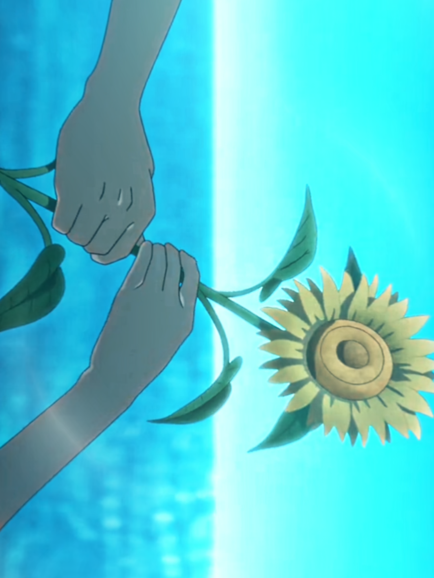 The Tunnel to Summer, the Exit of Goodbyes / #anime #animeedit #aftereffectsedit #edit #thetunneltosummertheexitofgoodbyes #aftereffects#valentine