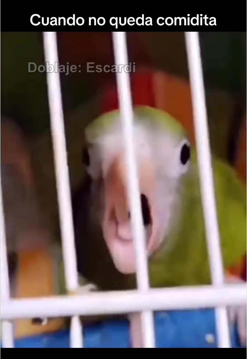 Cuando no queda comidita 😱😱 #parati #escardi 