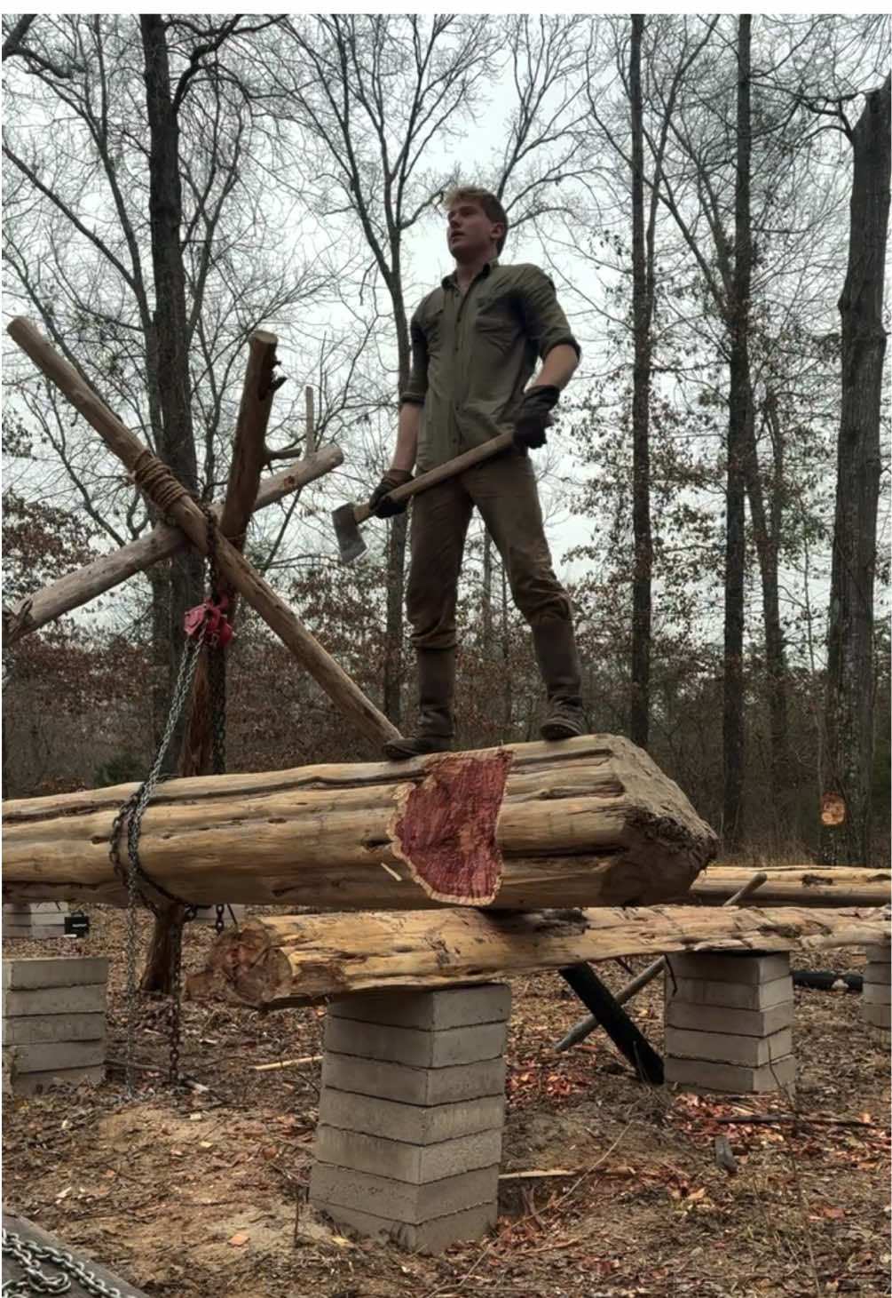 How do I adjust these Massive Logs for the Log Cabin? #logcabin #log #cabin #handtools 