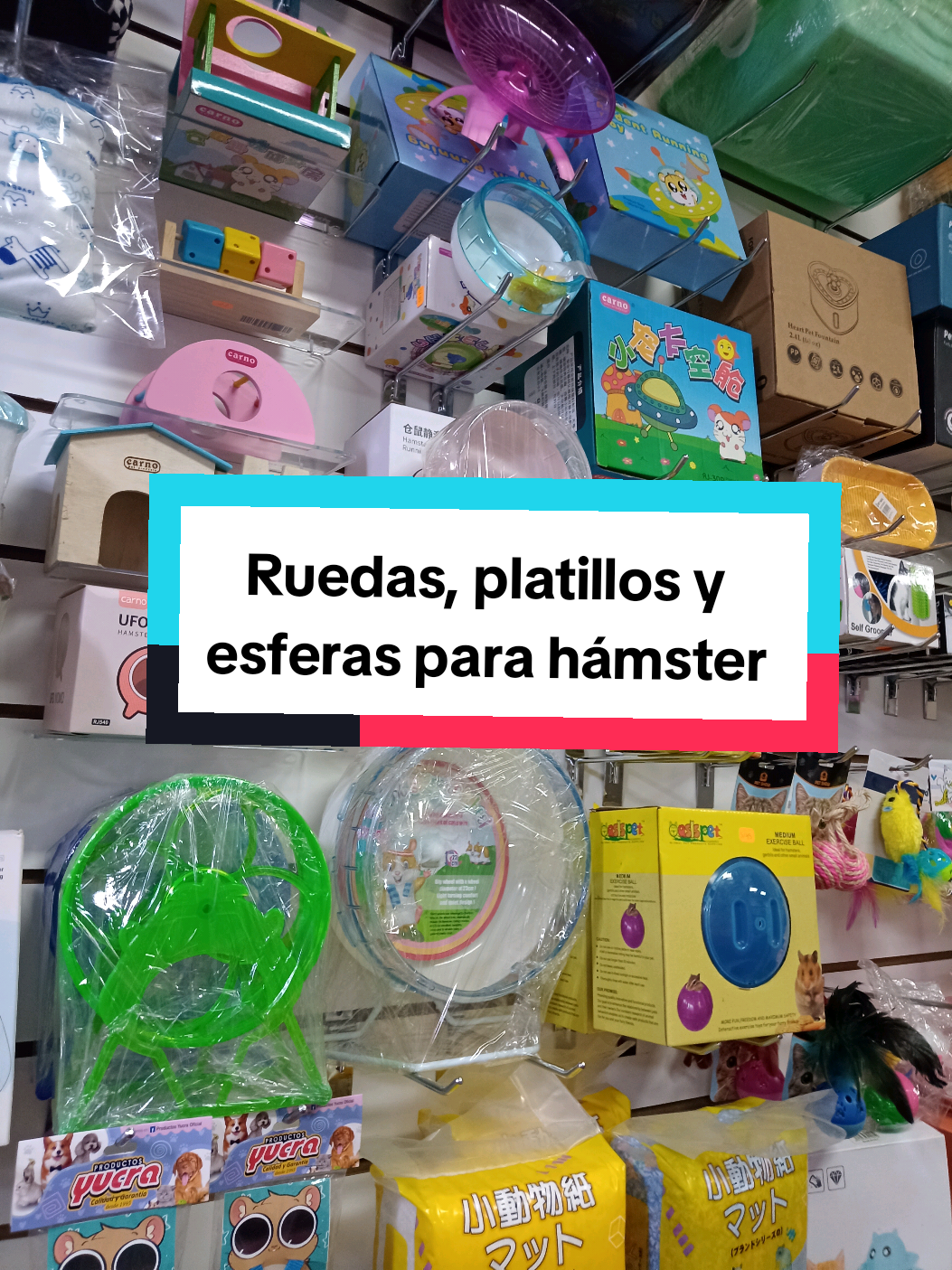 ¡Descubre el secreto para mantener a tu hámster feliz y activo! #hamster #michpetmarket #rueda #platillos #esferas #petslover #tiktokpet 
