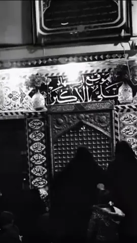 خبر للمخيم وصل #مقام_علي_الاكبرابن_الامام_الحسين #ياحسين_اسمك_احسه_عايش_بنص_الدلي #كلش_ثكيله_فاتحنه_على_ام_عون #ويبقى_الحب 