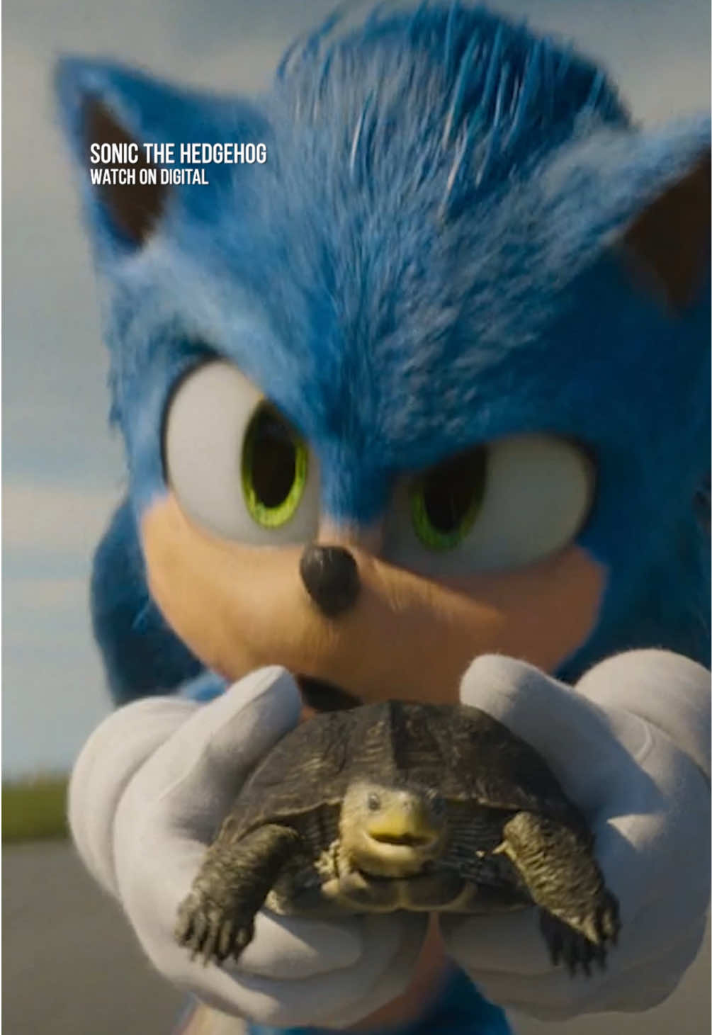 5 years ago today, Sonic the Hedgehog was released in theatres. And we're still running strong! Watch the OG on Digital, link in bio 💙🔗  #SonicMovie 