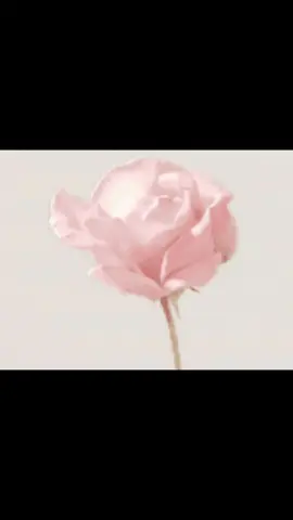 Coquette 🎀 #aesthetic #aestheticvideos #fashion #fashiontiktok #lightfeminine #coquette #coquetteaesthetic #coquettecore #coquettestyle #coquettegirl #lightfeminineenergy #foryou #foryoupage #fyp #fypage #fypシ゚ 