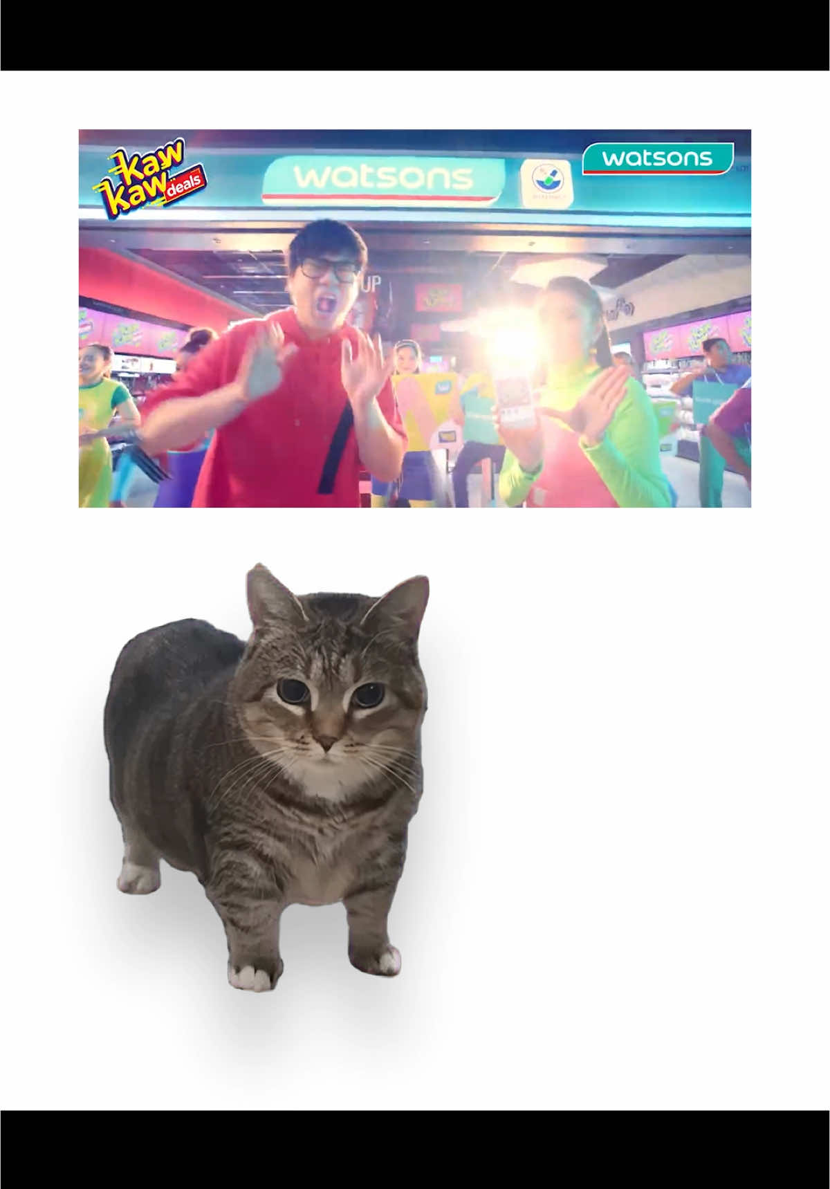 watsons song #memeremix #watsons #spinningcat #catmeme #uiiaiouuiiaio #kucingakmal #oioicat
