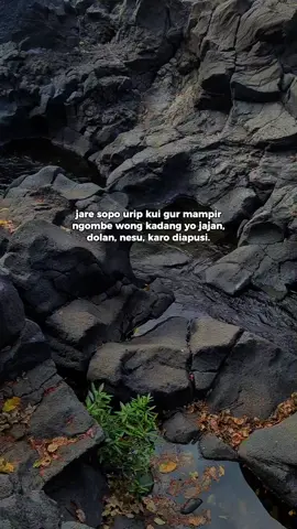 😌😌😌 #saleho #jawalucu #jowolucu #quotejowo #storyjowo #quotejawa #katabijakjawa #fyp #storywa #sw #jowopride #katakatajowo #katabijak #quotestory #katajawalucu 