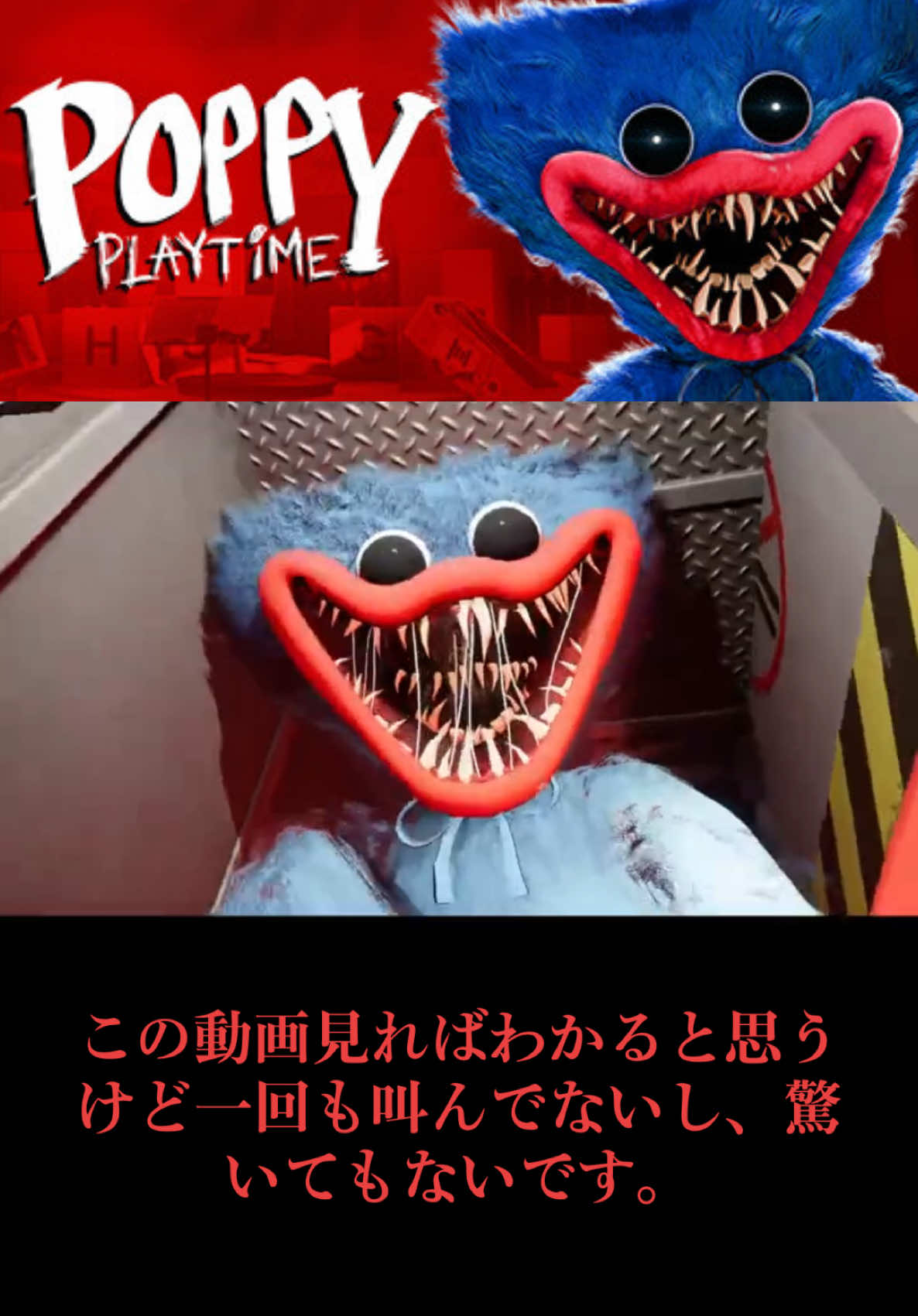 ポピープレイタイムマジで面白かった。 終始冷静でいられた自分を褒めたいね。 この動画のアーカイブは後日Youtubeに投稿するので良かったら見てくだせえ😗 #きぬぅ #poppyplaytime #ホラゲー 